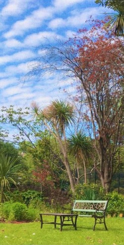 close to both the sea and Cockington Village